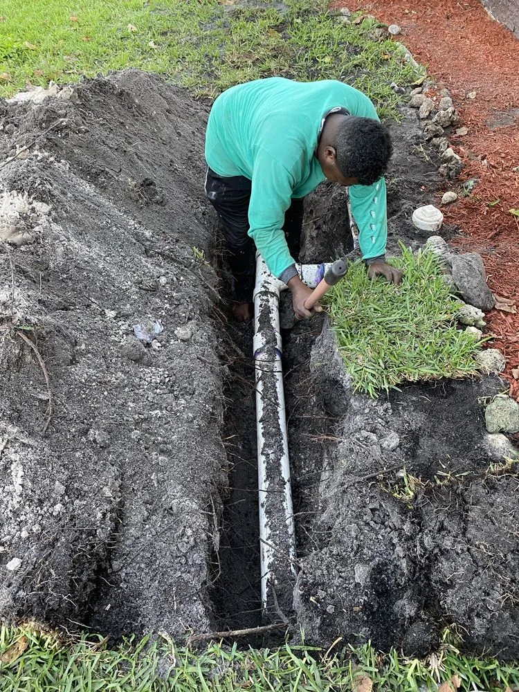 Slide of PBS universal