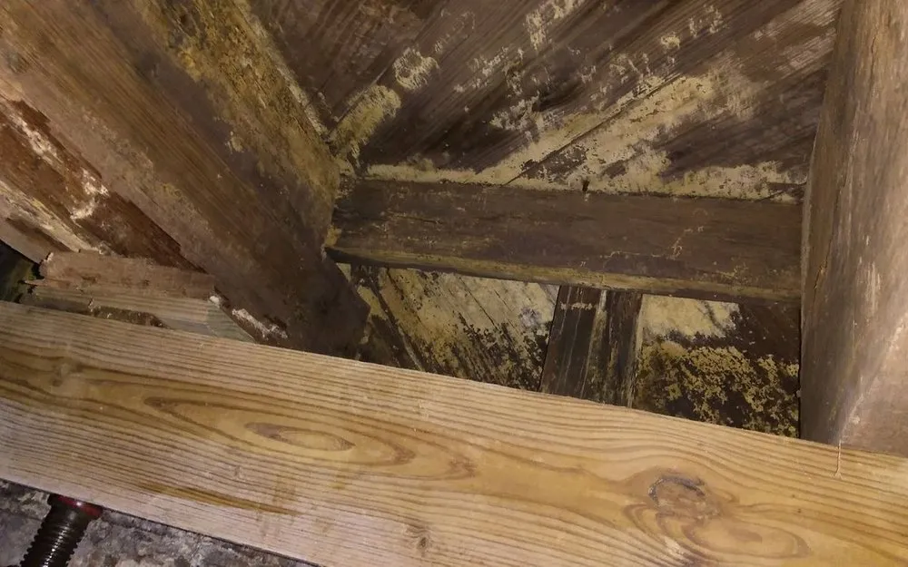 Slide of PDK House Leveling and Foundation Repair