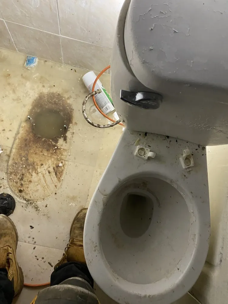 Slide of Peace Of Mind Drain And Sewer