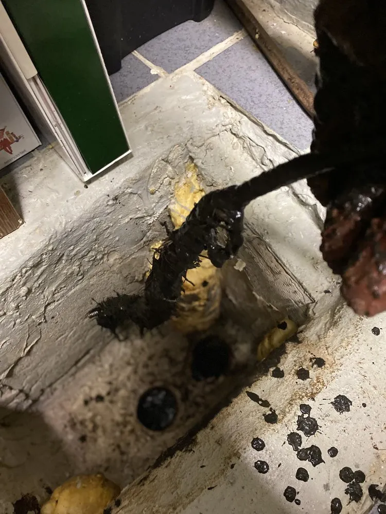 Slide of Peace Of Mind Drain And Sewer