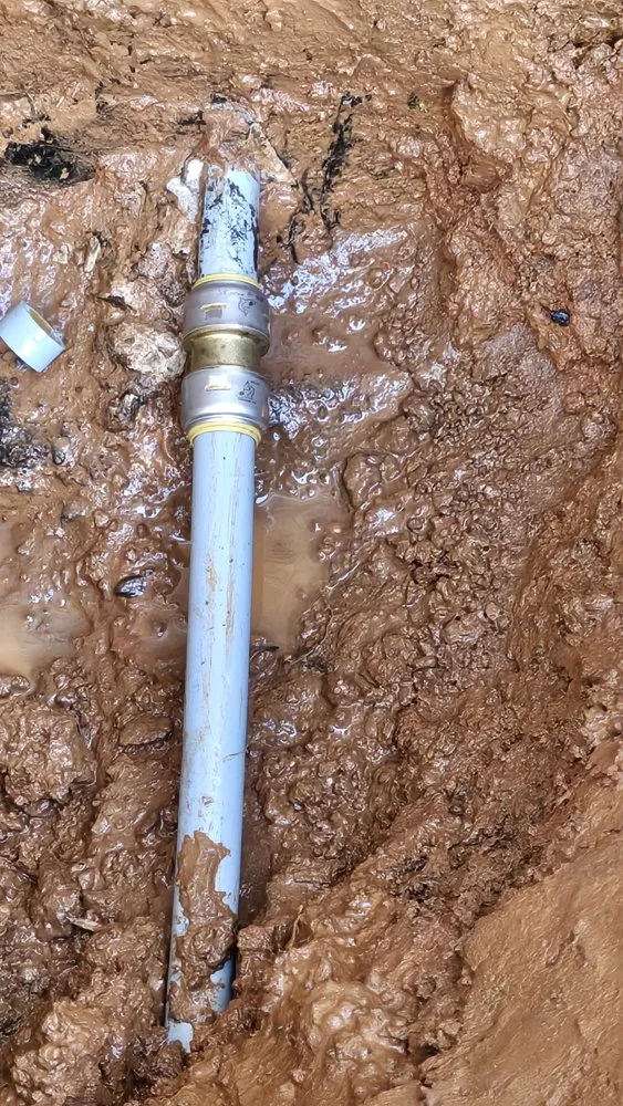 Slide of Peach Juice Maintenance