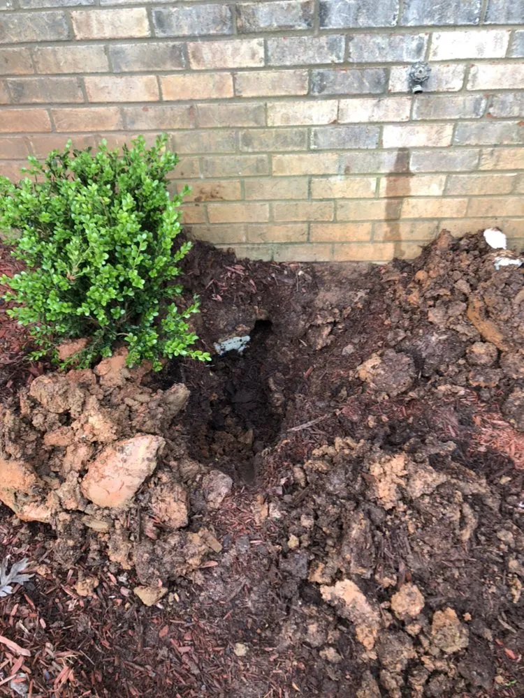 Slide of Peach Plumbing