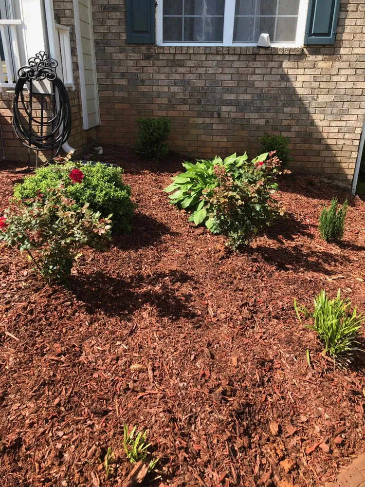 Slide of Peach Plumbing