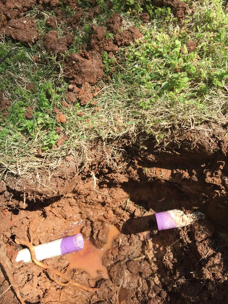 Slide of Peach Plumbing