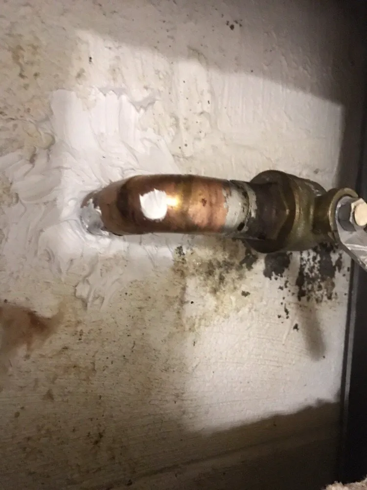 Slide of Peach Plumbing