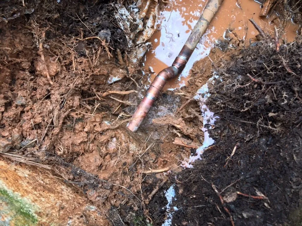 Slide of Peach Plumbing