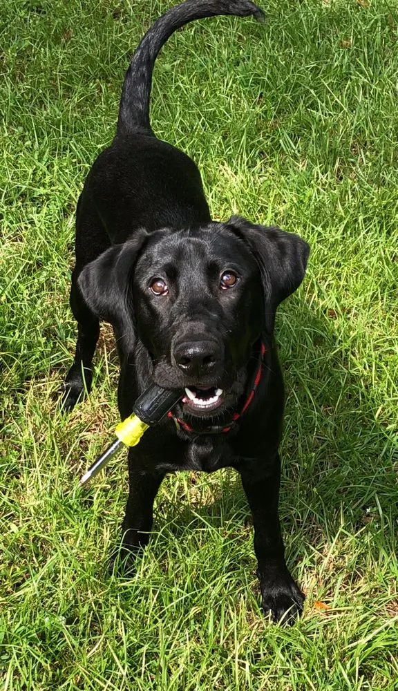 Slide of Peach Services