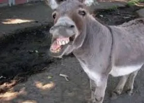 Slide of Peaden Air Conditioning, Plumbing & Electrical