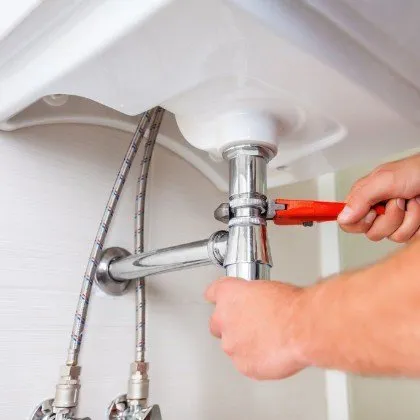 Slide of Peanut Plumbing