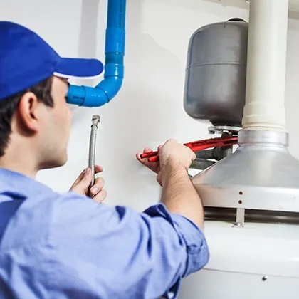 Slide of Peanut Plumbing