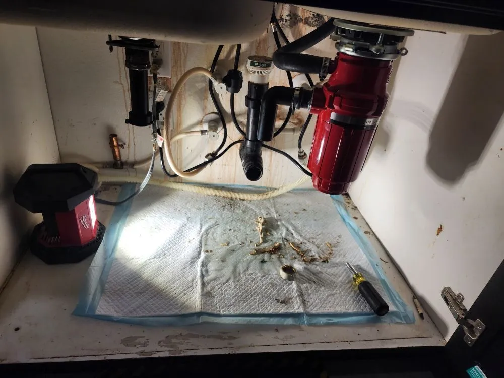 Trusted leak detection service in San Diego, CA - Pearl's Plumbing
