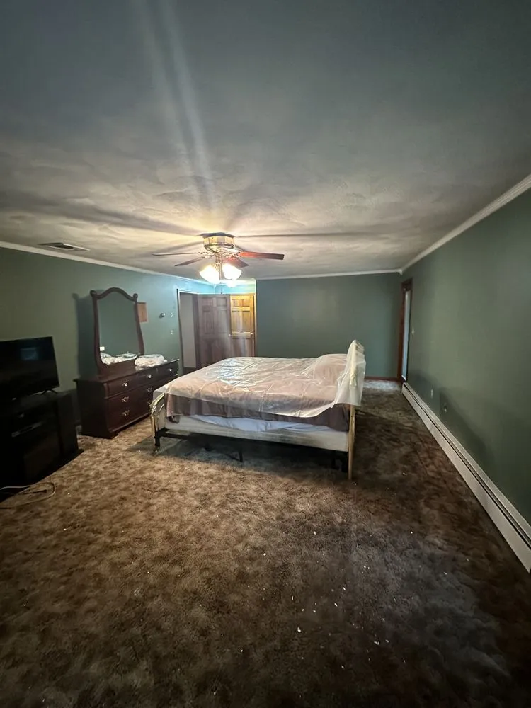 Slide of Pedretti’s Painting