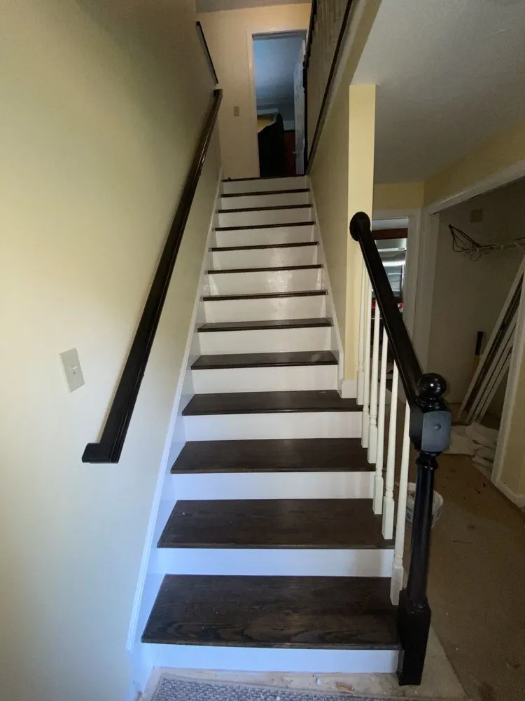 Slide of Pedretti’s Painting