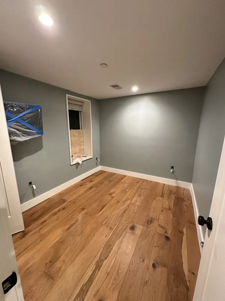 Slide of Pedretti’s Painting