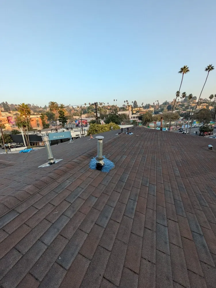 Expert emergency plumbing service in San Fernando Valley, CA - Pedro Handyman