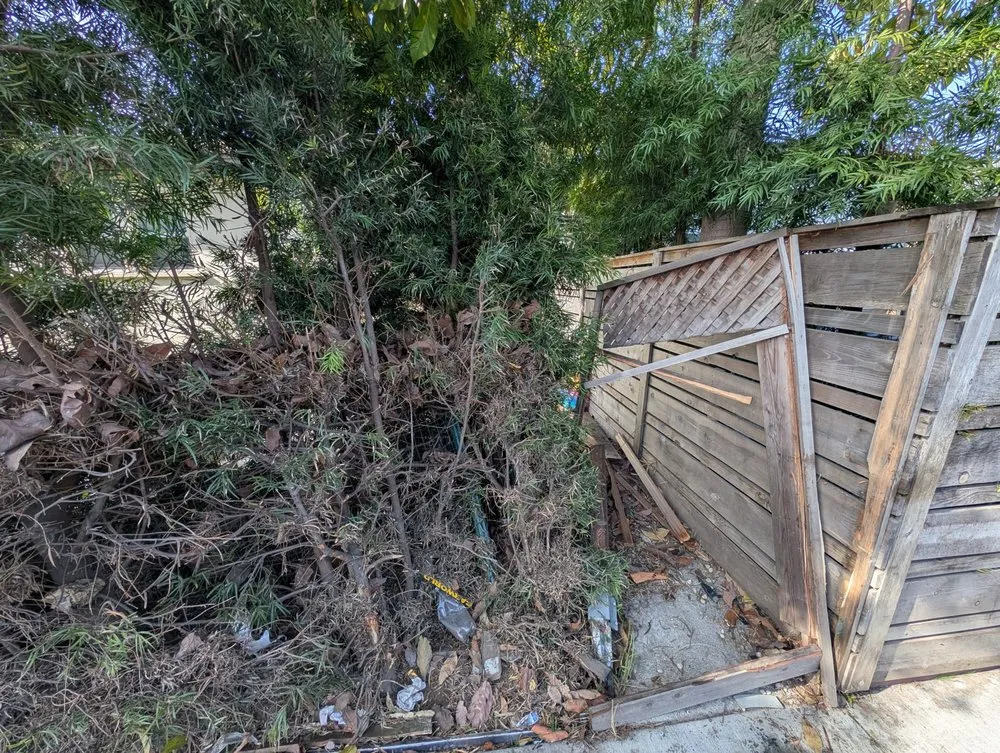 Emergency pipe repair in San Fernando Valley, CA by Pedro Handyman