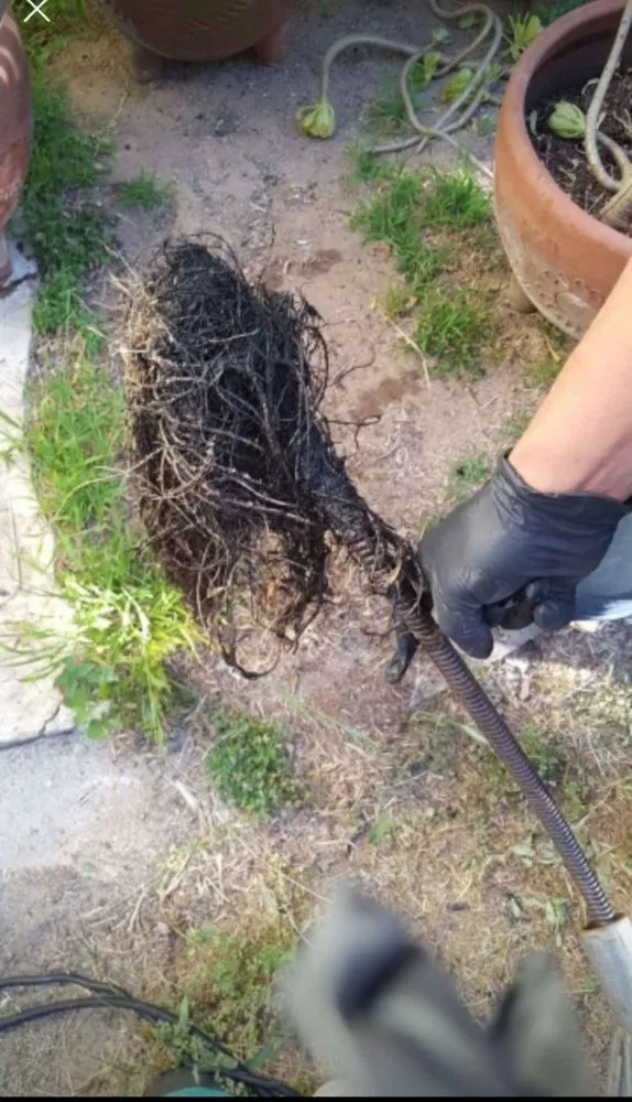 Slide of Pedro Plumbing and Rooter