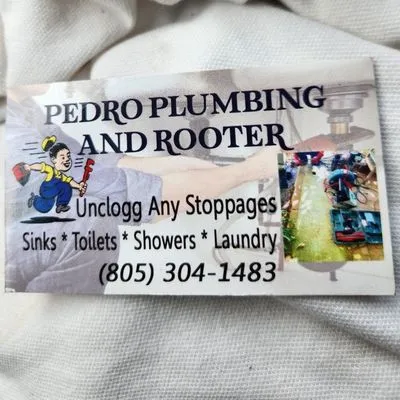 Pedro Plumbing and Rooter Logo