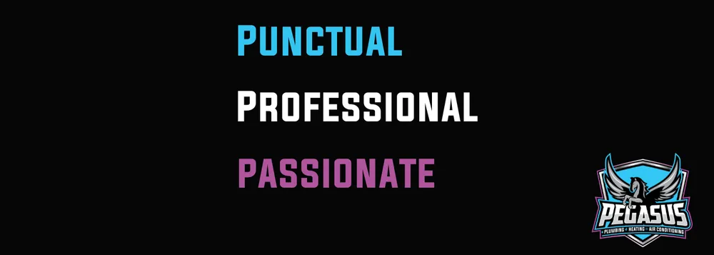 Top-rated pipe repair experts serving Telford, PA - Pegasus Home Services