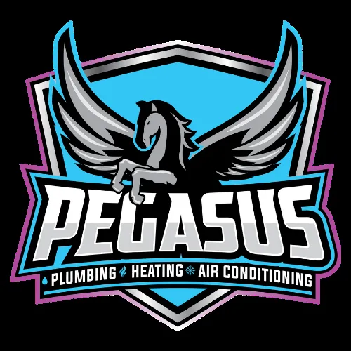 Professional leak detection in Telford, PA by Pegasus Home Services