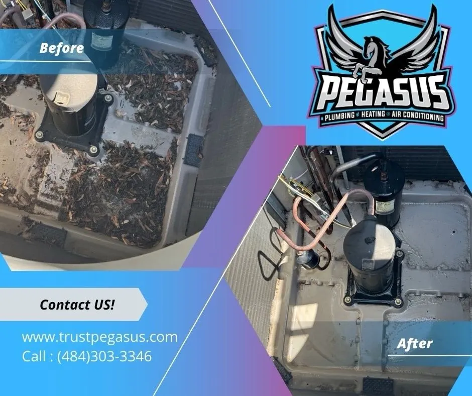 Emergency drain cleaning for homes in Telford, PA by Pegasus Home Services