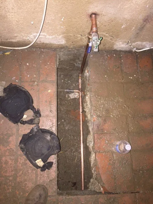 Slide of Pegasus Leak Detection