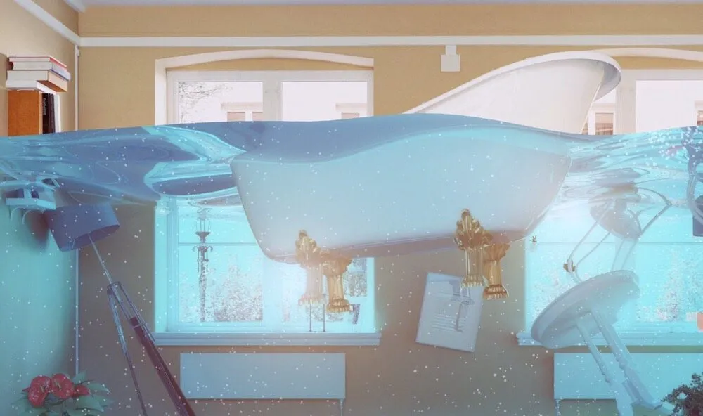 Slide of Pegasus Leak Detection