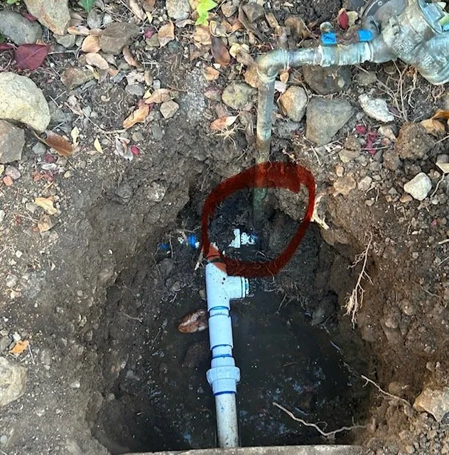 Slide of Pegasus Leak Detection