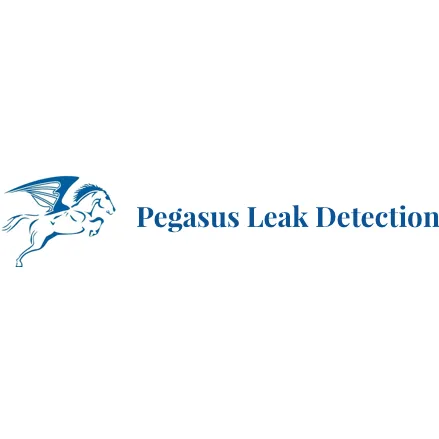 Slide of Pegasus Leak Detection