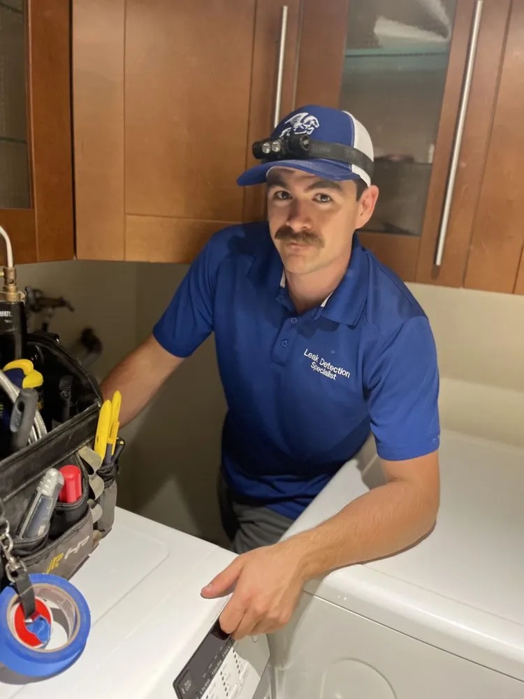 Slide of Pegasus Leak Detection