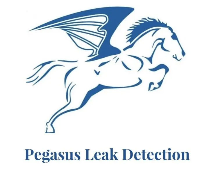 Slide of Pegasus Leak Detection