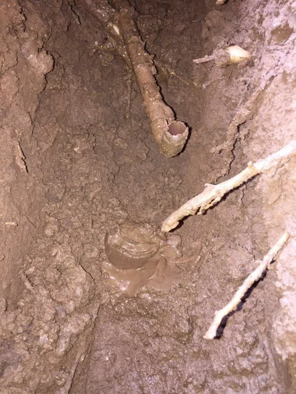 Reliable pipe repair service in Oxnard, CA - Pegasus Leak Detection