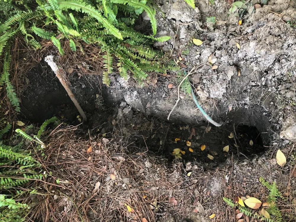 Top-rated drain cleaning experts serving Oxnard, CA - Pegasus Leak Detection