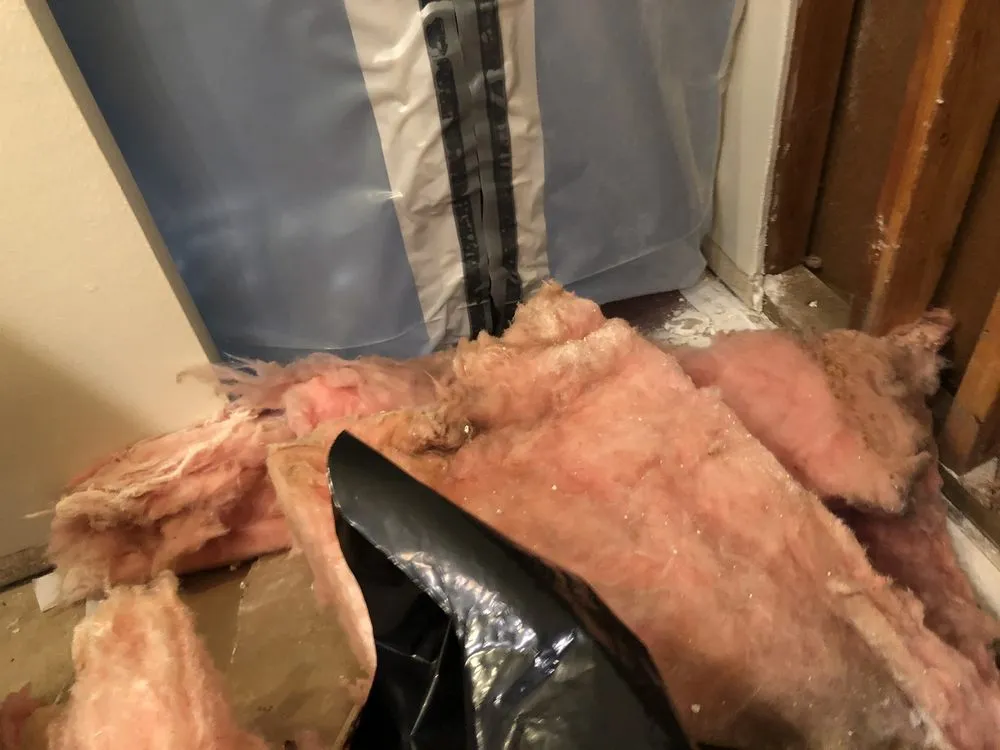 Emergency plumbing repair service in Oxnard, CA - Pegasus Leak Detection