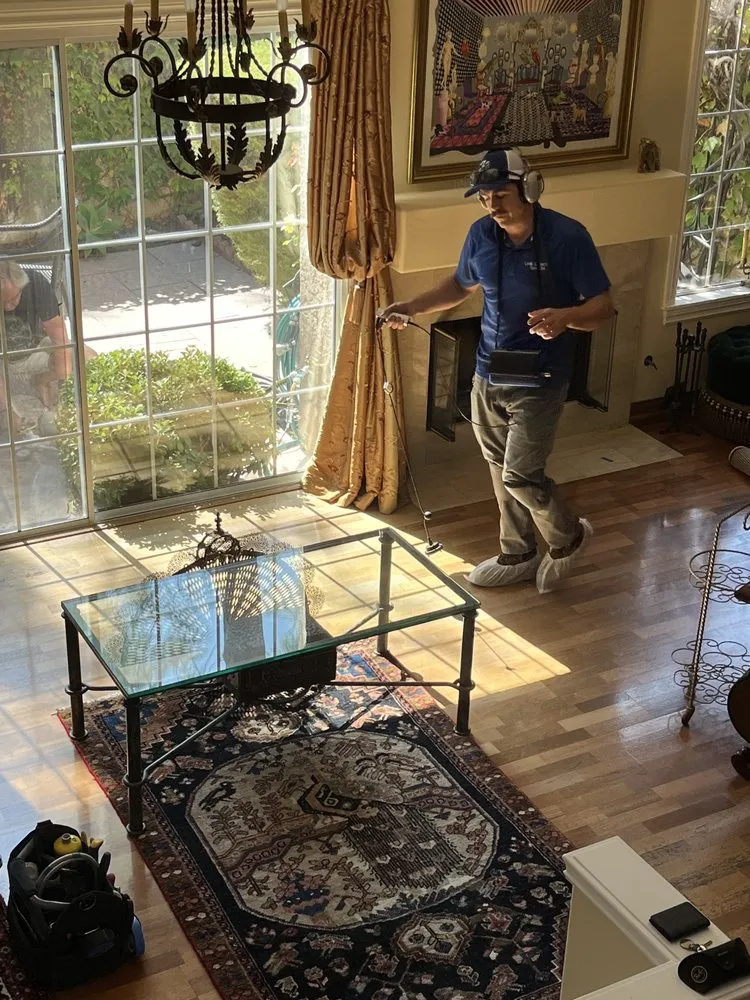 Slide of Pegasus Leak Detection