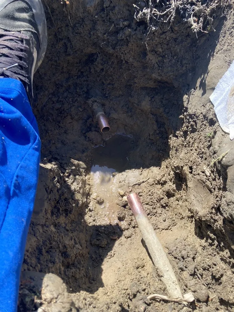 Slide of Pegasus Leak Detection