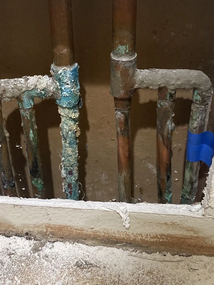 Slide of Pegasus Leak Detection