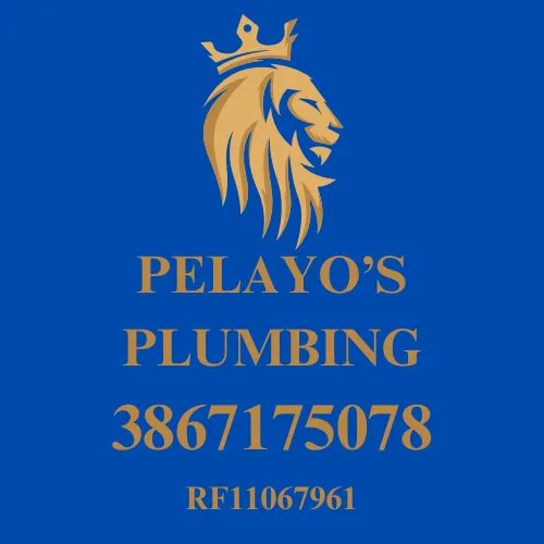 Slide of Pelayo's Plumbing