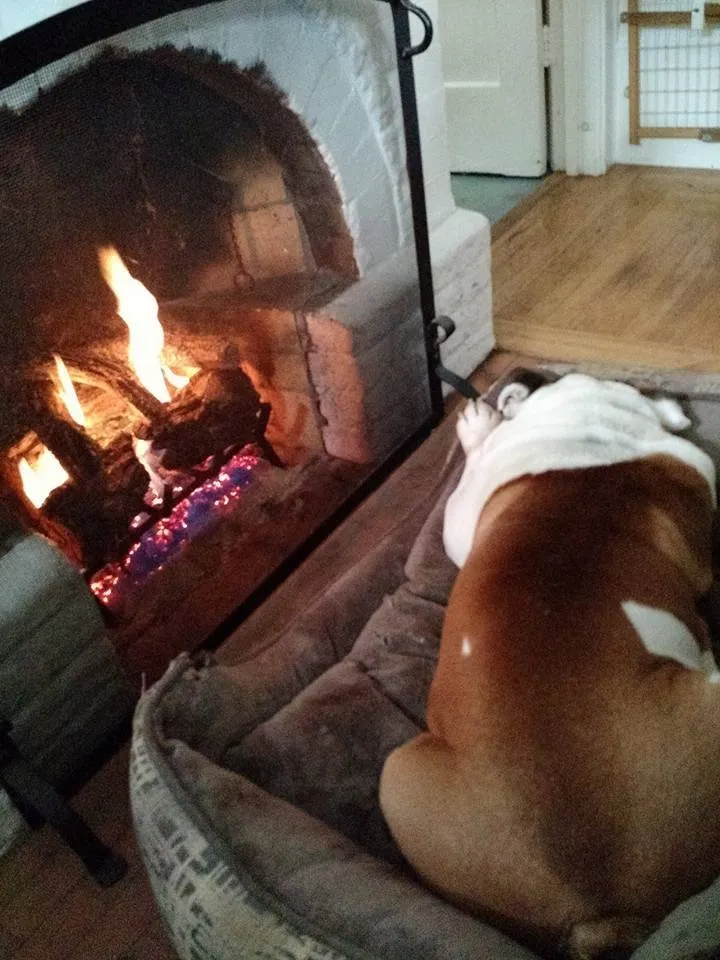 Slide of Pelican Plumbers