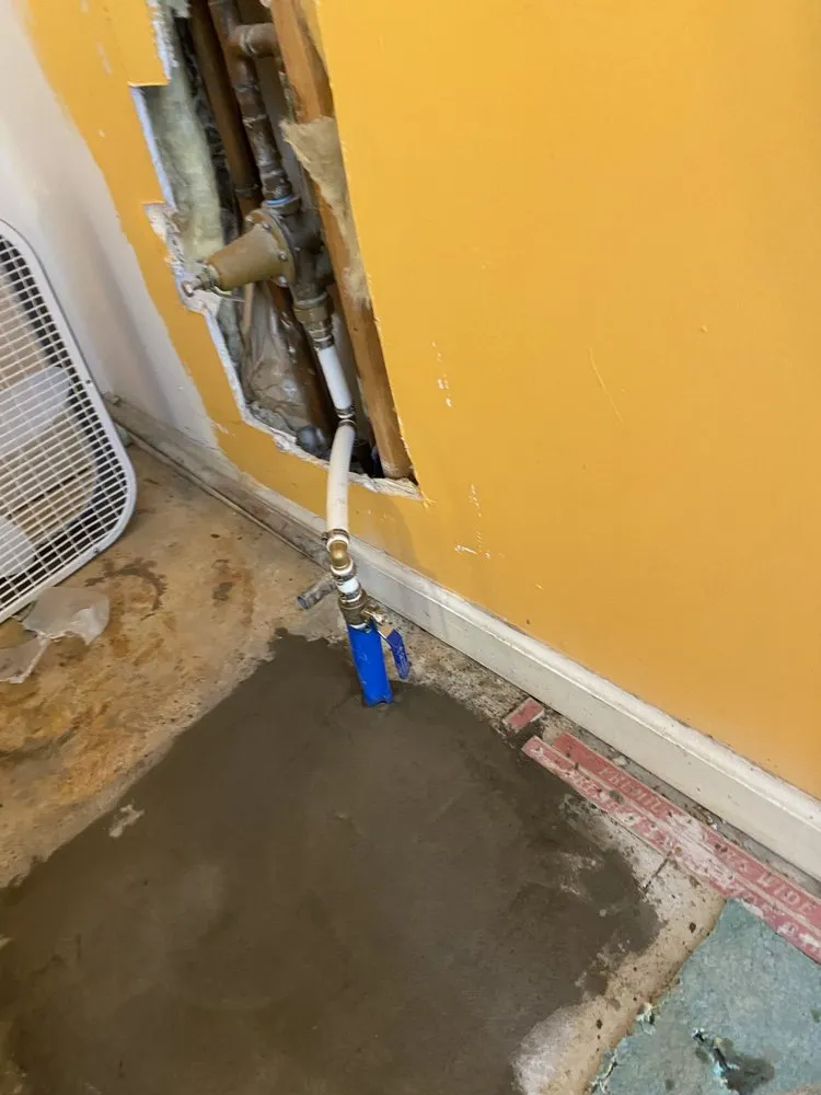 Slide of Pelican Plumbing