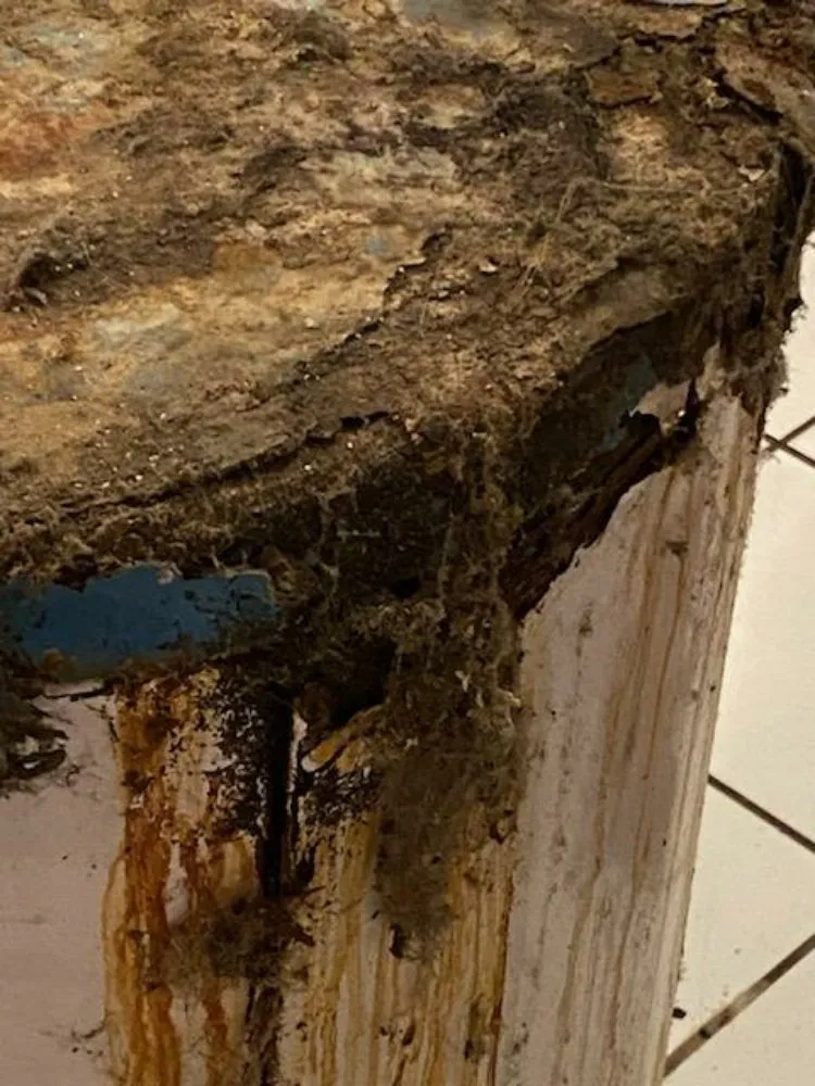 Slide of Pena Drain Away