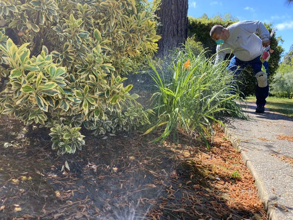 Slide of Peninsula Irrigation