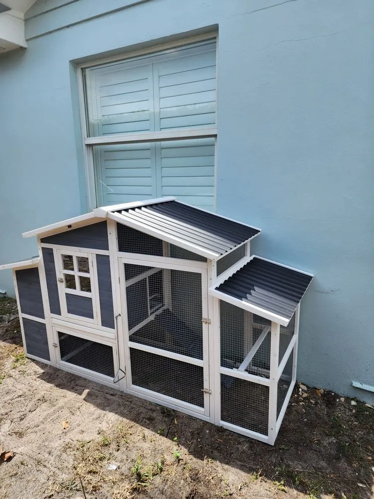 Slide of Percy Epalza