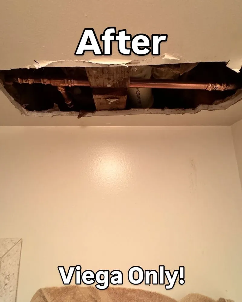 Slide of Peregrina Plumbing Company