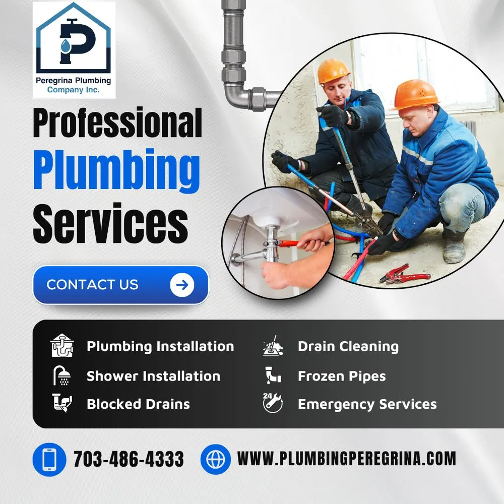 Slide of Peregrina Plumbing Company