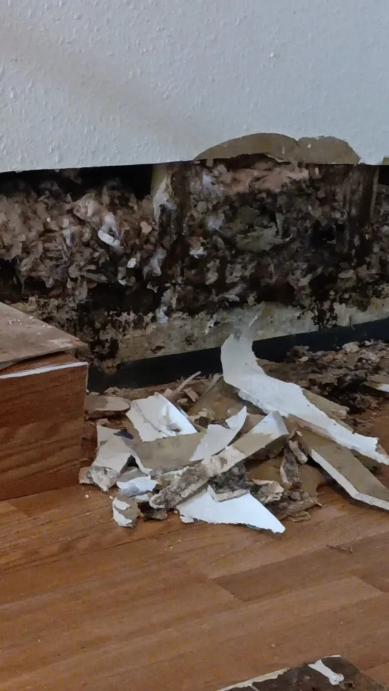 Slide of Perez Handyman & Janitorial Services