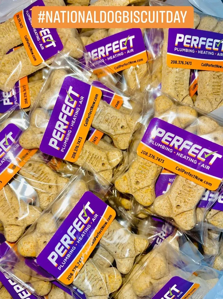 Top-rated plumbing repair experts serving Garden City, ID - Perfect Plumbing Heating & Air