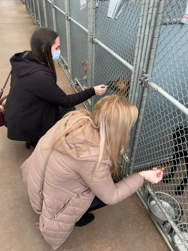 Reliable drain cleaning service in Garden City, ID - Perfect Plumbing Heating & Air