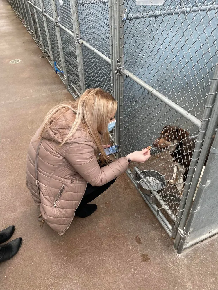 Top-rated drain cleaning for homes in Garden City, ID by Perfect Plumbing Heating & Air