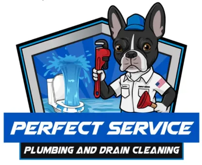 Slide of Perfect Service